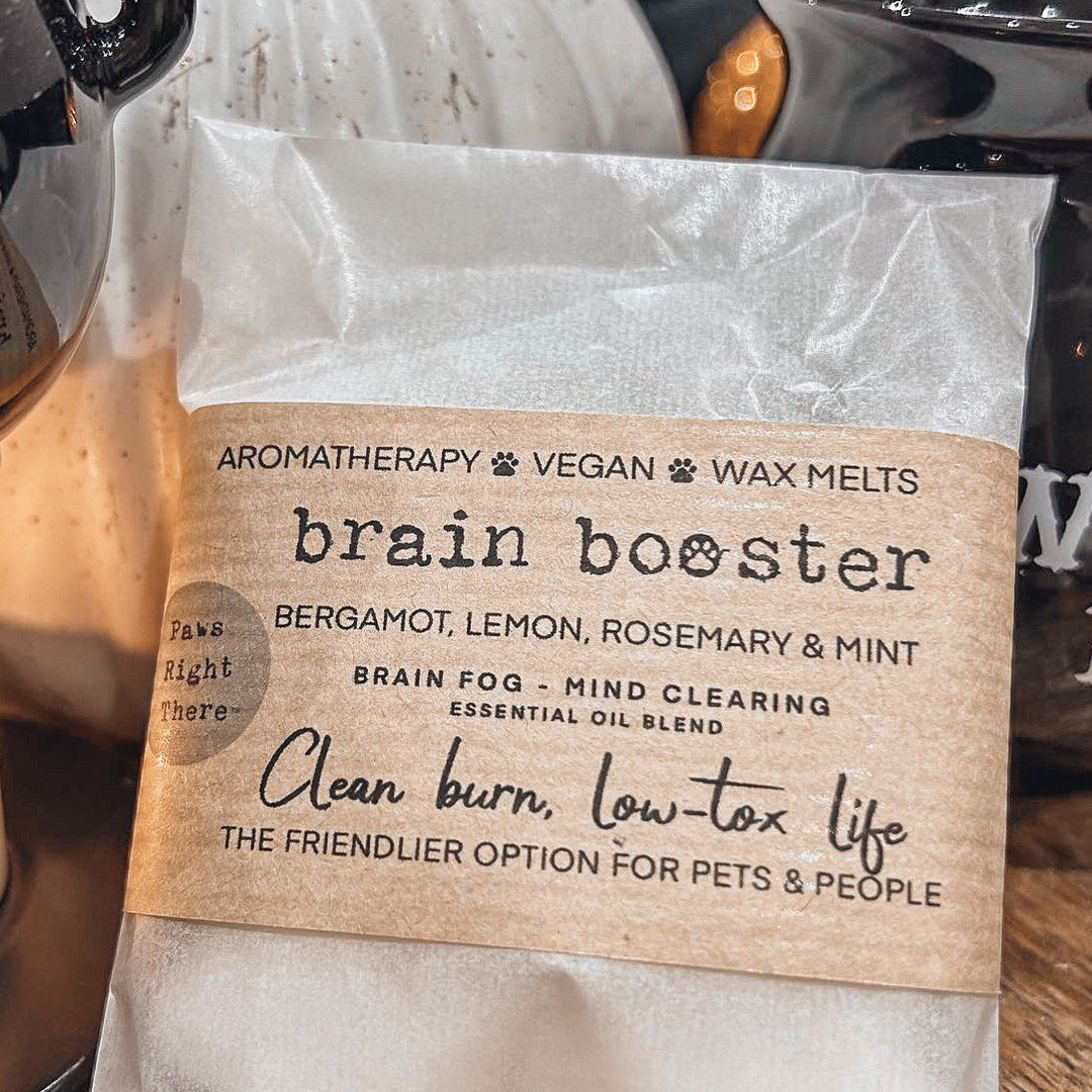 ‘Brain BOOSter’ halloween limted edition wax melts