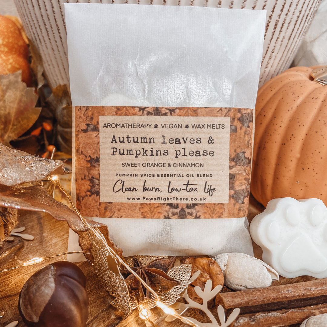 Autumn Leaves & Pumpkins Please - wax melts