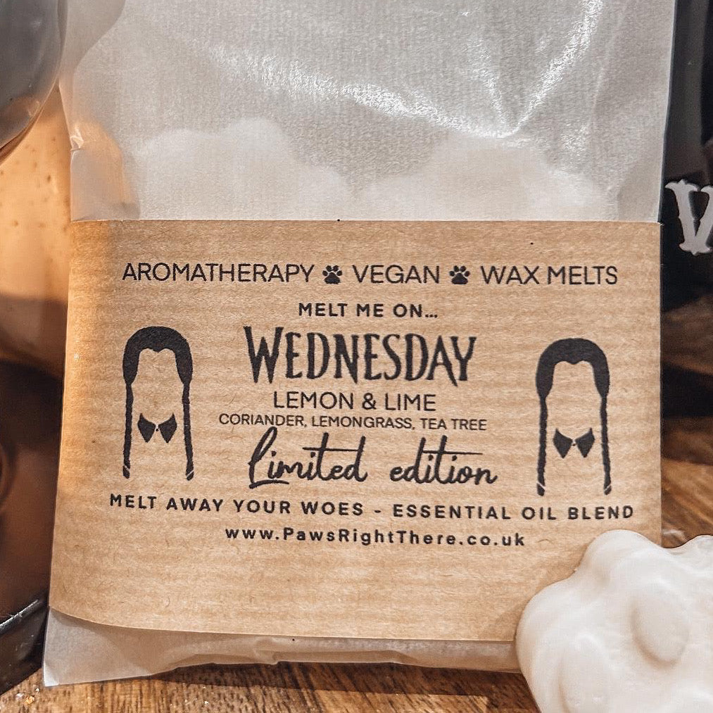 ‘Melt me on WEDNESDAY’ Halloween wax melts - LIMITED EDITION