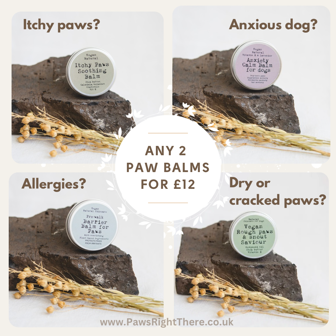 ANXIETY CALM BALM - for dogs