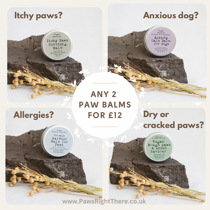 ANXIETY CALM BALM - for dogs