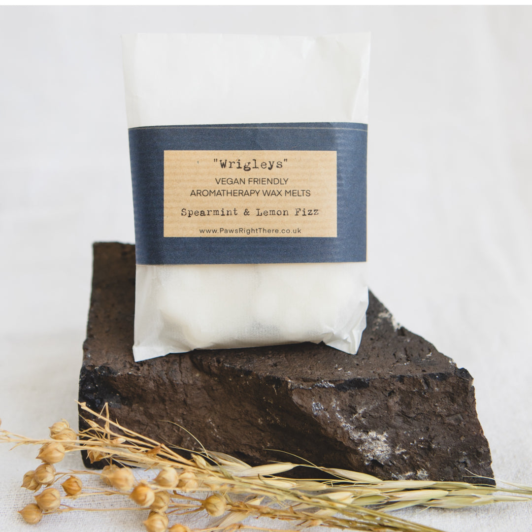 “Wrigleys” Lemon Fizz & Mint - Aromatherapy Wax Melts