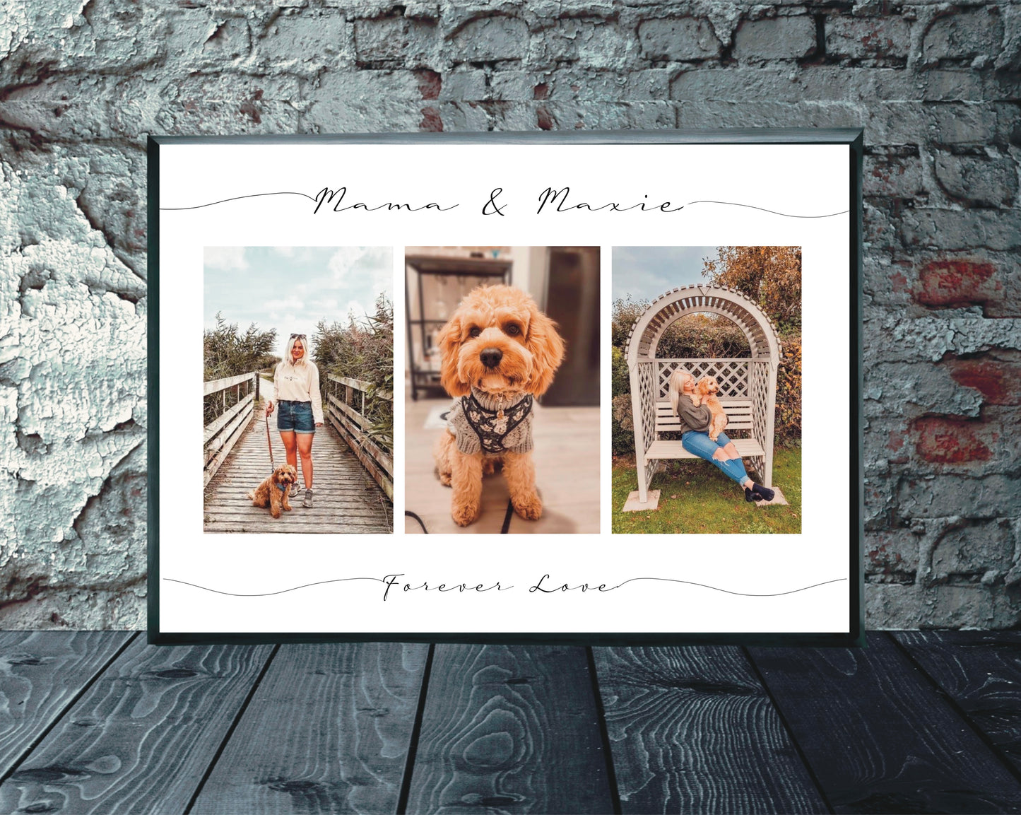 Pet/dog/cat Photo collage