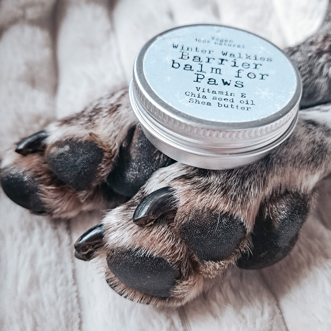 Paw balm benefits & uses for dogs