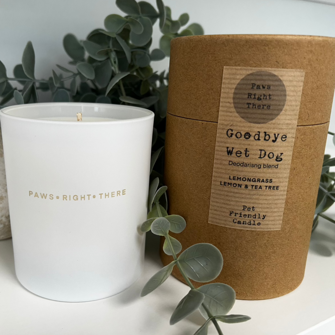 Luxury Pet Friendly Candles