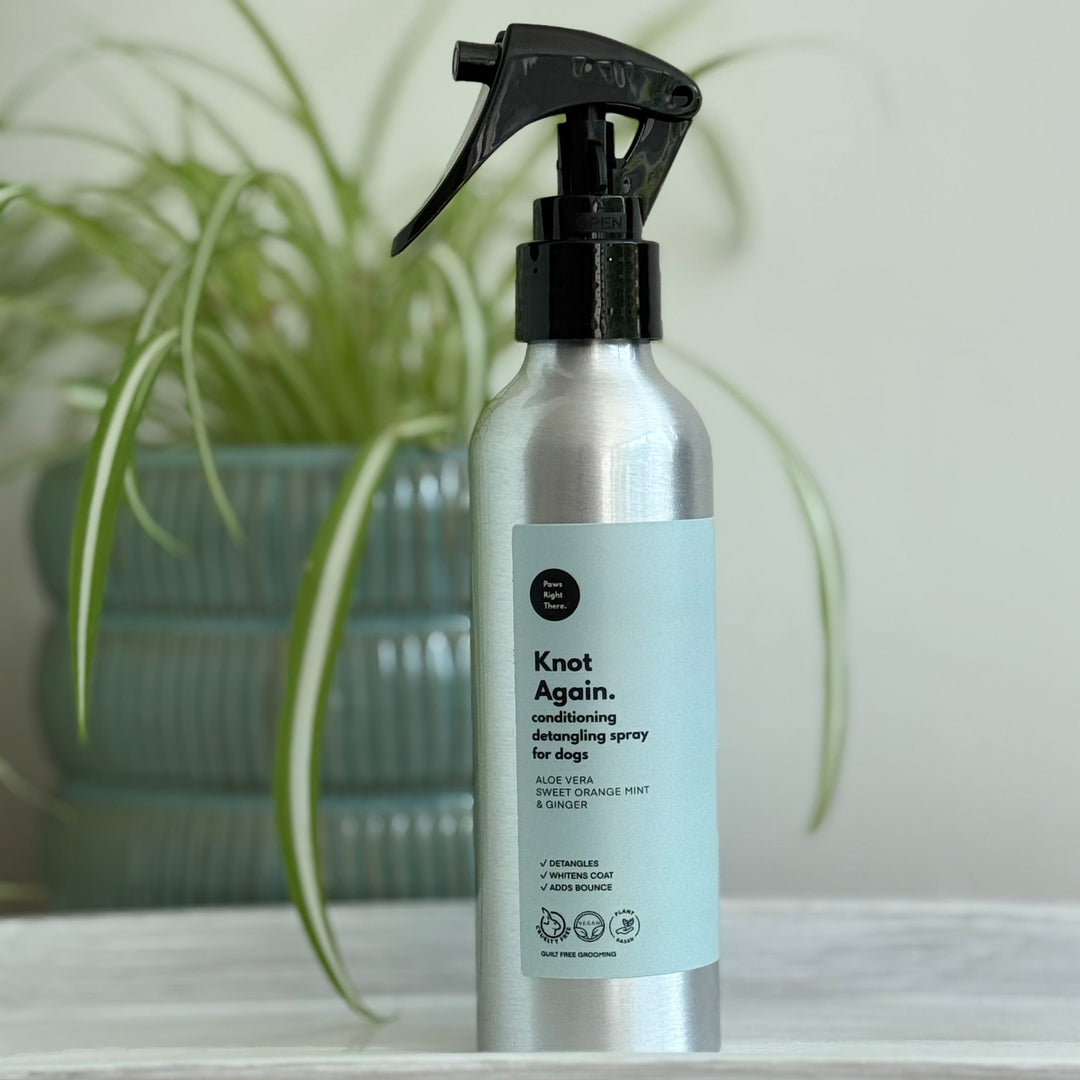 A silver metal spray bottle of Knot Again Conditioning Spray for Dogs, featuring a light blue label and a black trigger sprayer, set on a white shelf with a blurred green potted plant in the background.