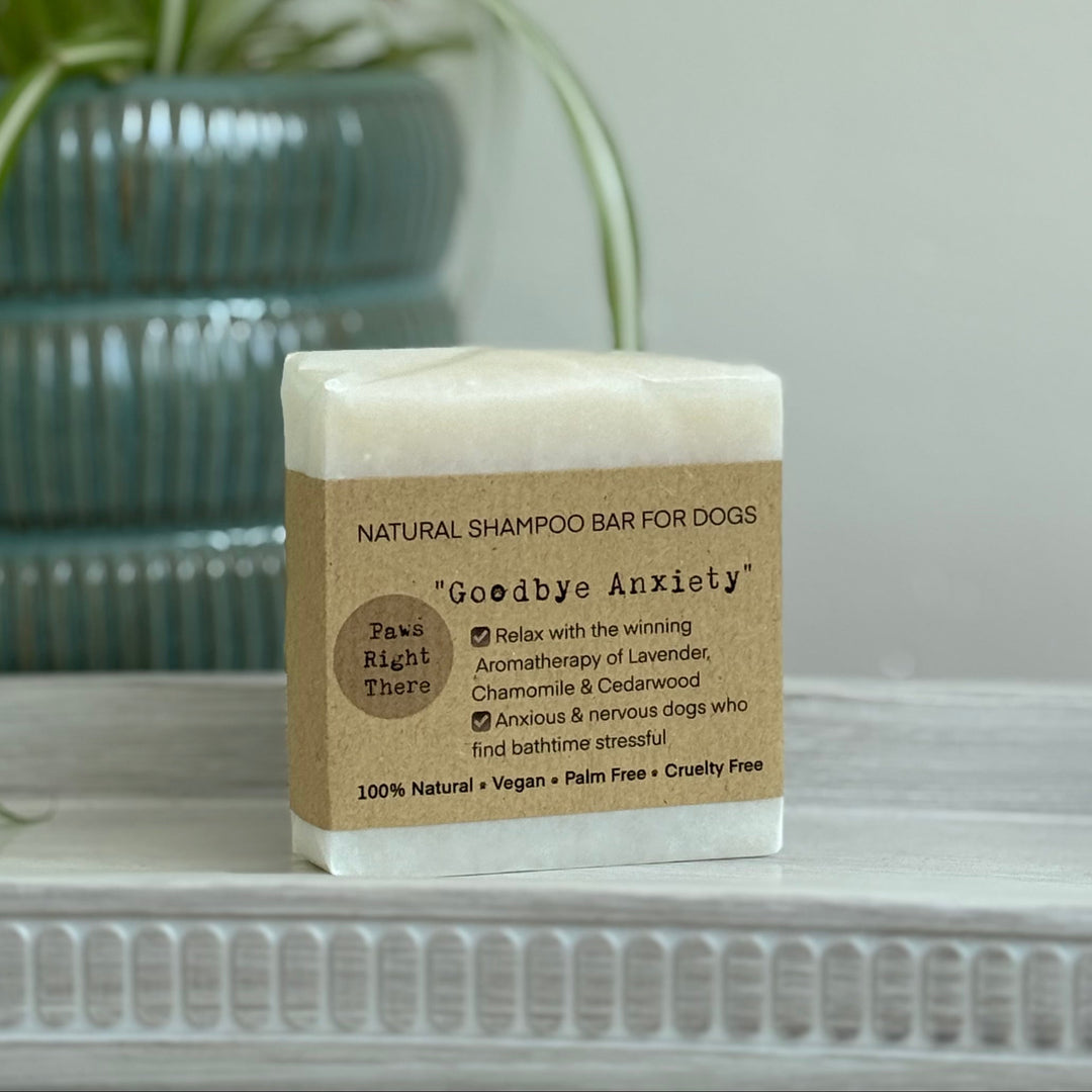 A rectangular bar of dog shampoo soap standing upright on a white surface, with a green potted plant blurred in the background against a light wall.