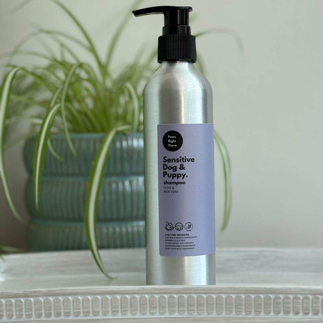 A silver pump bottle of 'Sensitive Dog & Puppy' shampoo by 'Paws Right There' stands on a white shelf in front of a blurred green potted plant against a light grey wall.