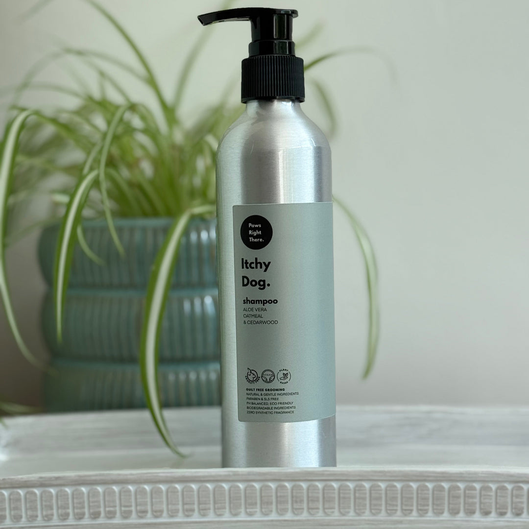 A silver pump bottle of Itchy Dog Itch Relief Shampoo standing on a white surface, with a blurred green potted plant in the background.