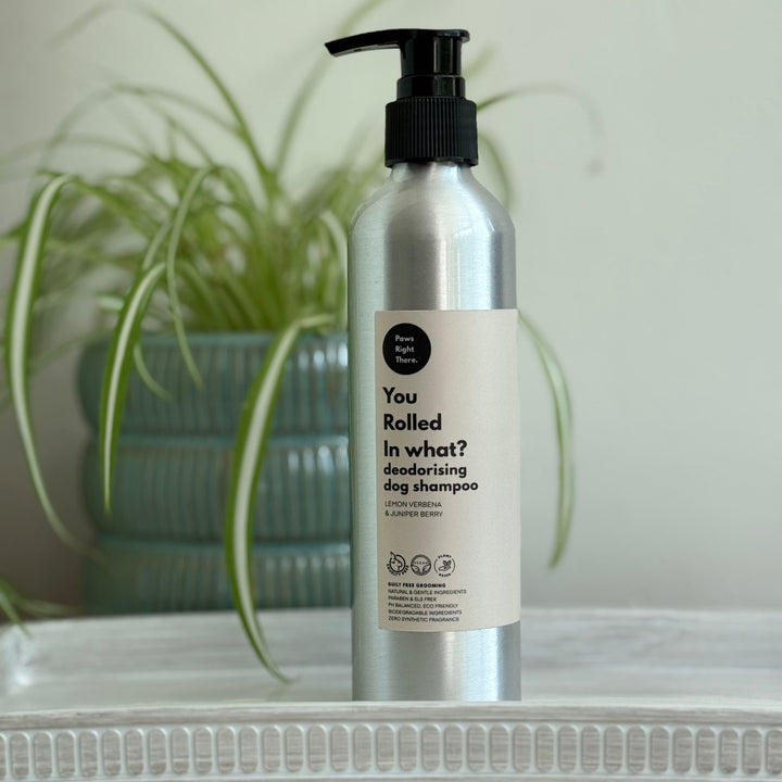 A silver pump bottle of dog shampoo with a black cap and a cream label reading 'You Rolled In What? Deodorising Dog Shampoo' by Paws Right There, set on a white shelf with a blurred green plant in the background.