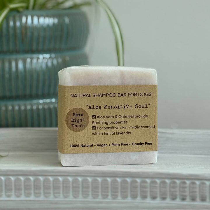 A bar of natural shampoo bar for dogs, labeled 'Aloe Sensitivity Soul' by 'Paws Right There', displayed on a white shelf in front of a green potted plant against a light grey wall.