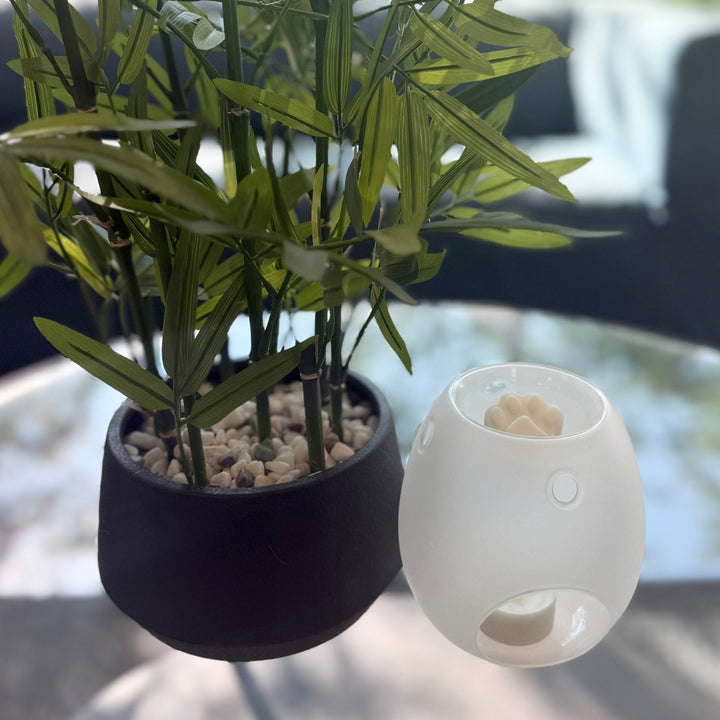 glass wax melt burner with a paw shaped wax melt inside. placed on a glass coffee table next to a bamboo plant
