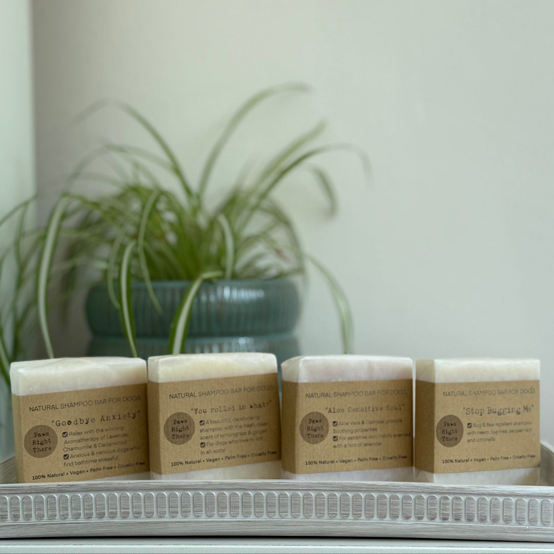 Four rectangular bars of soap in kraft paper packaging, arranged on a white tray on a white shelf, with a potted green plant in the background against a light beige wall.