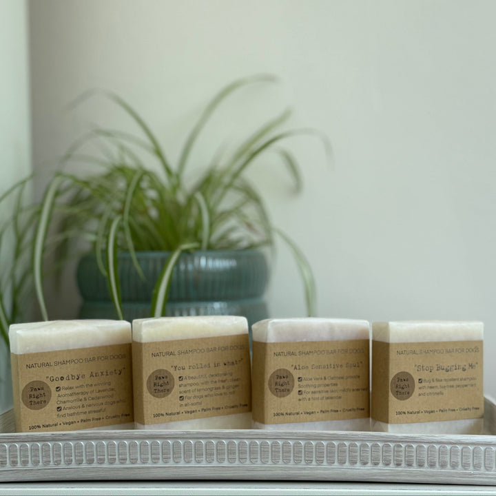 Four rectangular bars of soap in kraft paper packaging, arranged on a white tray on a white shelf, with a potted green plant in the background against a light beige wall.