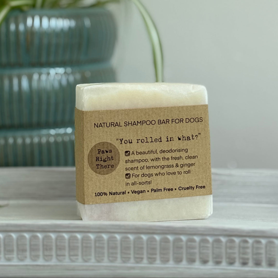A bar of dog shampoo sits on a white shelf in front of a potted green plant against a light grey wall. The bar is wrapped in a kraft paper label that reads 'NATURAL SHAMPOO BAR FOR DOGS' and 'You rolled in what?'.