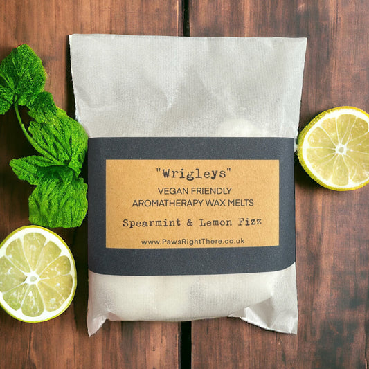 “wrigleys” Spearmint & lemon Fizz - Wax Melts
