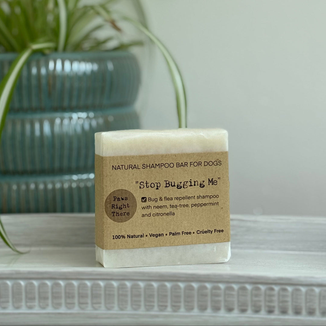 A bar of natural shampoo bar for dogs, labeled 'Stop Bugging Me', standing on a white shelf next to a potted green plant against a light grey wall.