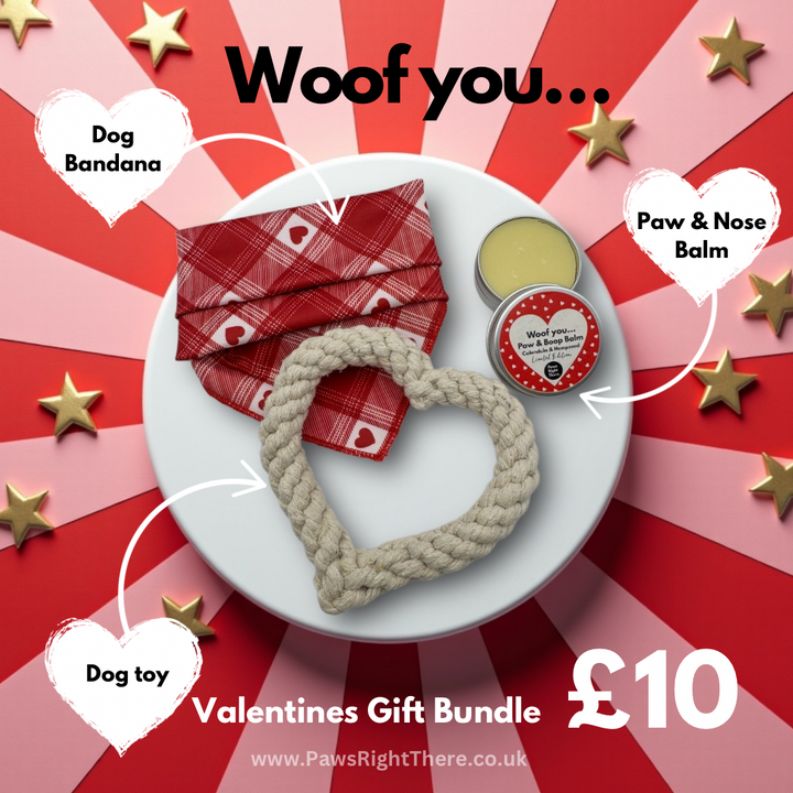 VALENTINES - Gift Bundle for dogs