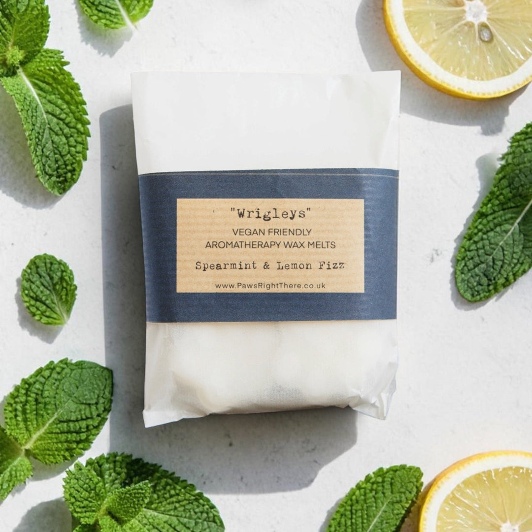 Wrigley's vegan-friendly aromatherapy wax melt surrounded by mint leaves and lemon slices on a light surface.