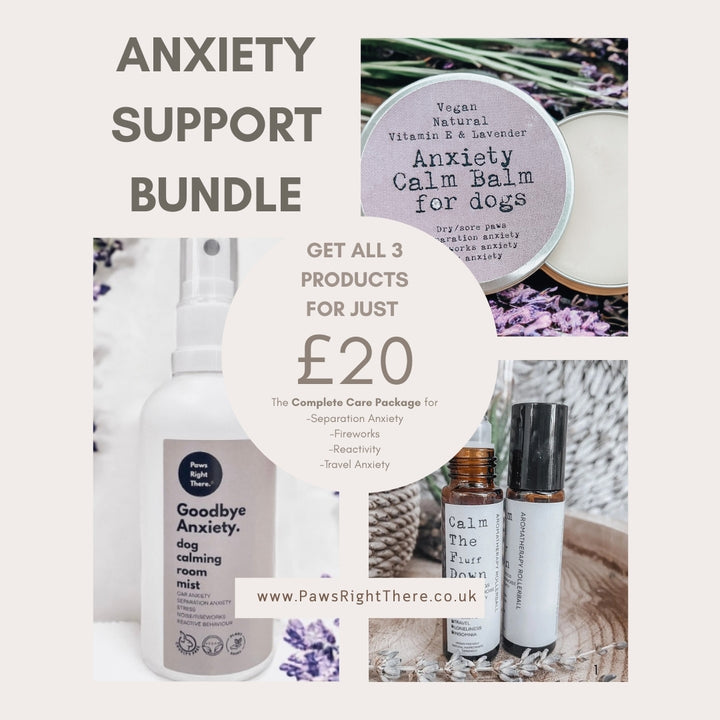Anxiety Support Bundle