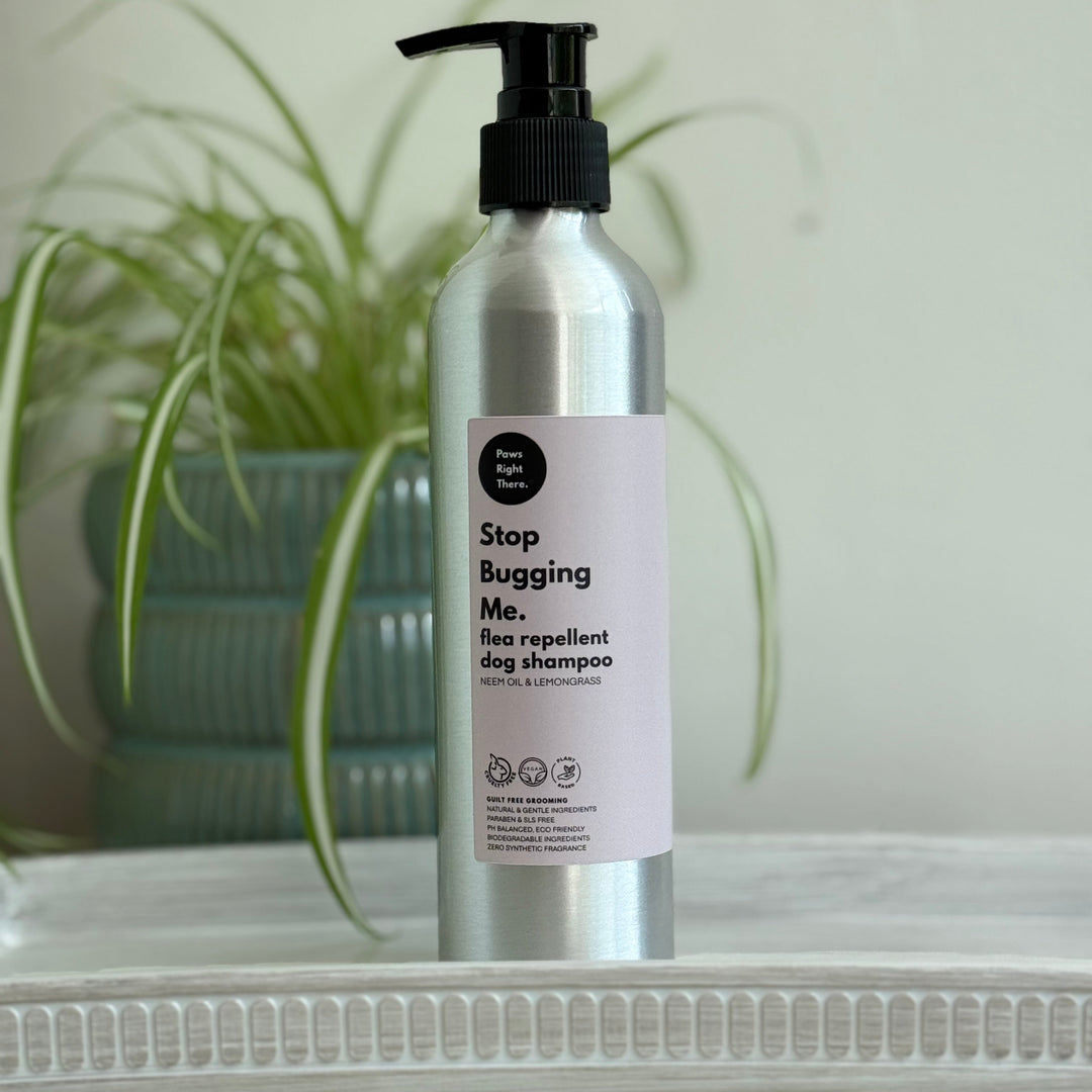 A silver pump bottle of 'Stop Bugging Me. Flea repellent dog shampoo' by the brand 'Paws Right There' stands on a white shelf in front of a blurred green potted plant against a light grey wall.