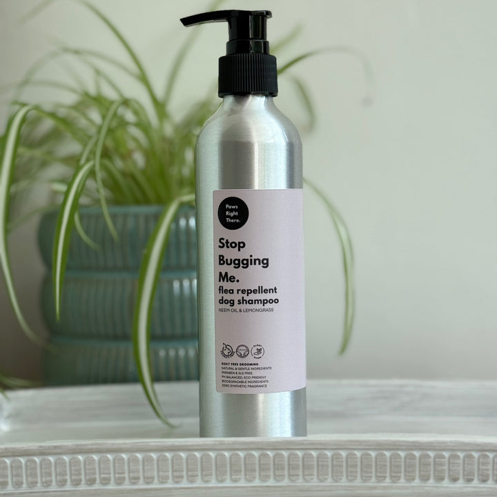A silver pump bottle of 'Stop Bugging Me. Flea repellent dog shampoo' by the brand 'Paws Right There' stands on a white shelf in front of a blurred green potted plant against a light grey wall.