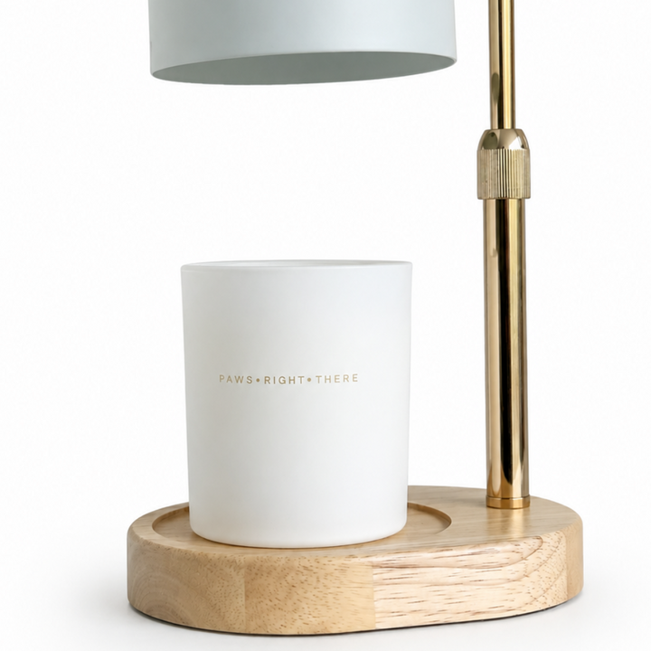 A modern floating lamp with a matte white shade hovering above a light wood base, holding a white candle with gold lettering. The lamp features a polished gold-finished metal pole and collar.