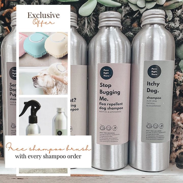 ‘You Rolled in What?’ deodorising dog shampoo