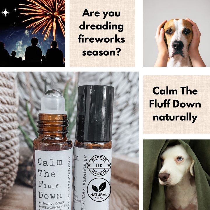 DOG ANXIETY | FIREWORKS | NATRAL REMEDY | STRESSED DOG | ANXIOUS DOG
