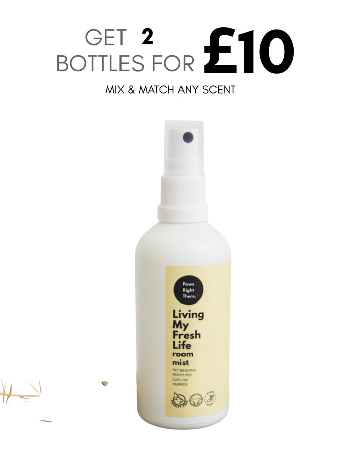 “Living my Fresh Life” citrus room mist