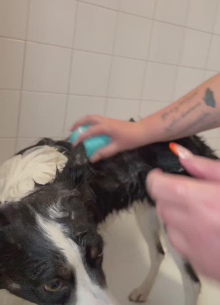 ‘Itchy Dog’ shampoo