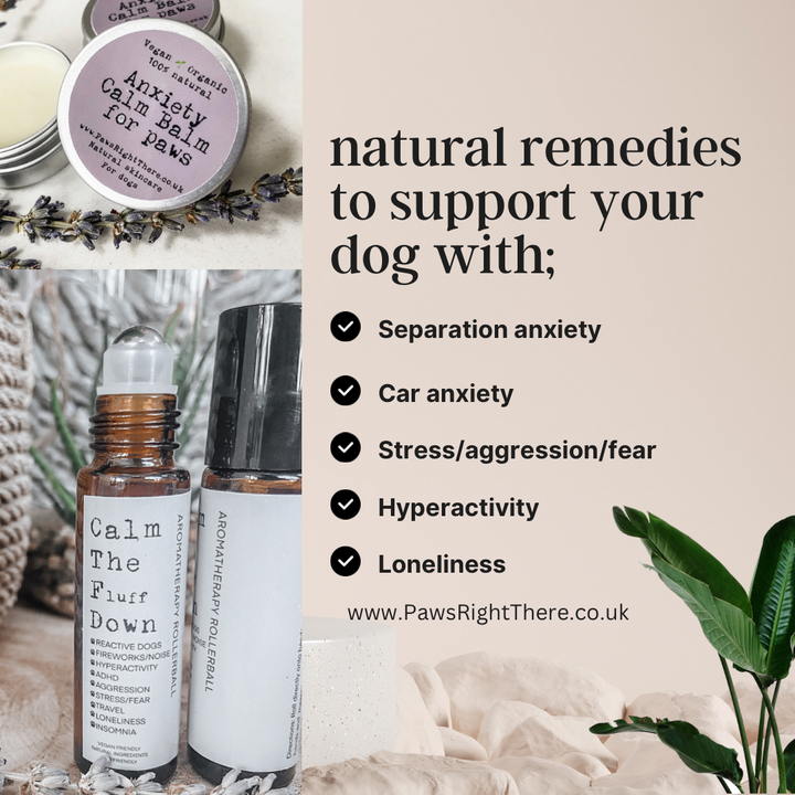 Anxiety Support Bundle