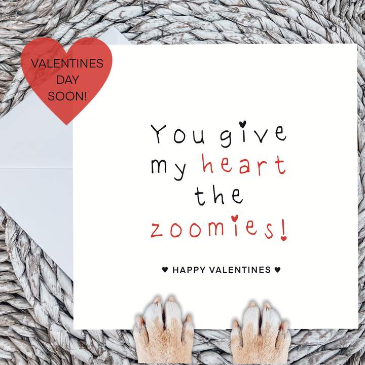 Zoomies Valentines Card