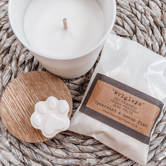 Pet Friendly Candle | Spearmint & Lemon Candle | Paws Right There
