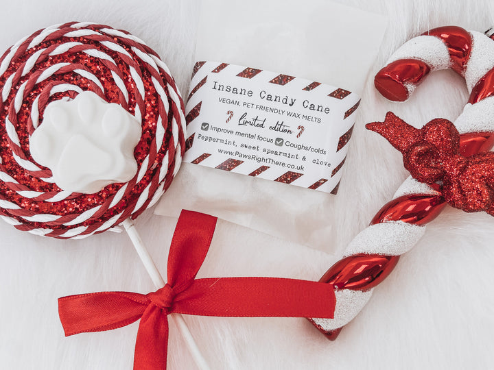 Candy Cane Festive Wax Melts — Pet-Friendly, Natural, Hand-Poured