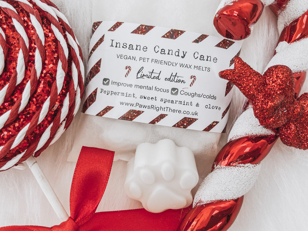Candy Cane Festive Wax Melts — Pet-Friendly, Natural, Hand-Poured