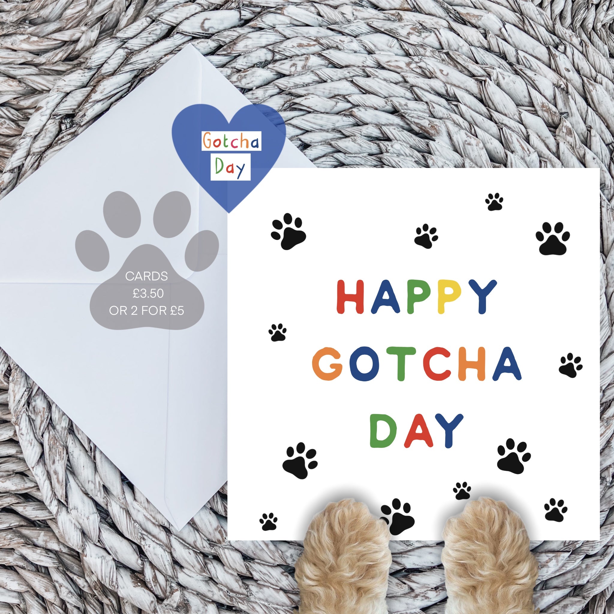 Happy gotcha day card in rainbow Paws Right There